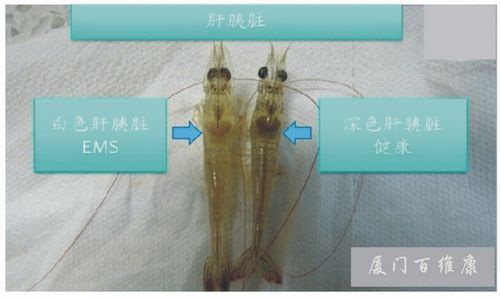 20140414.jpg